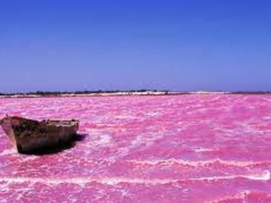 Day 3 - Visit of the pink lake