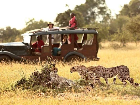 Jour 3 - Excursion au Parc National de Nairobi, Orphelinat des elephants et le centre des girafes