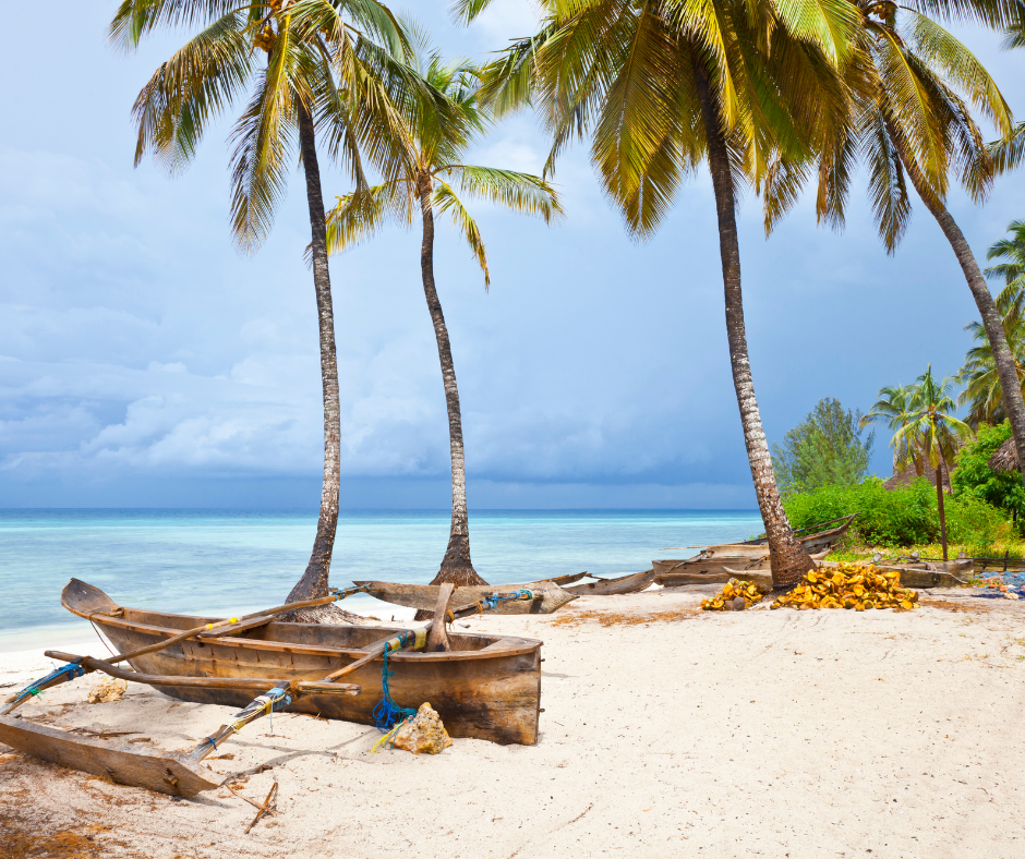 Allons à la découverte de Zanzibar la belle.