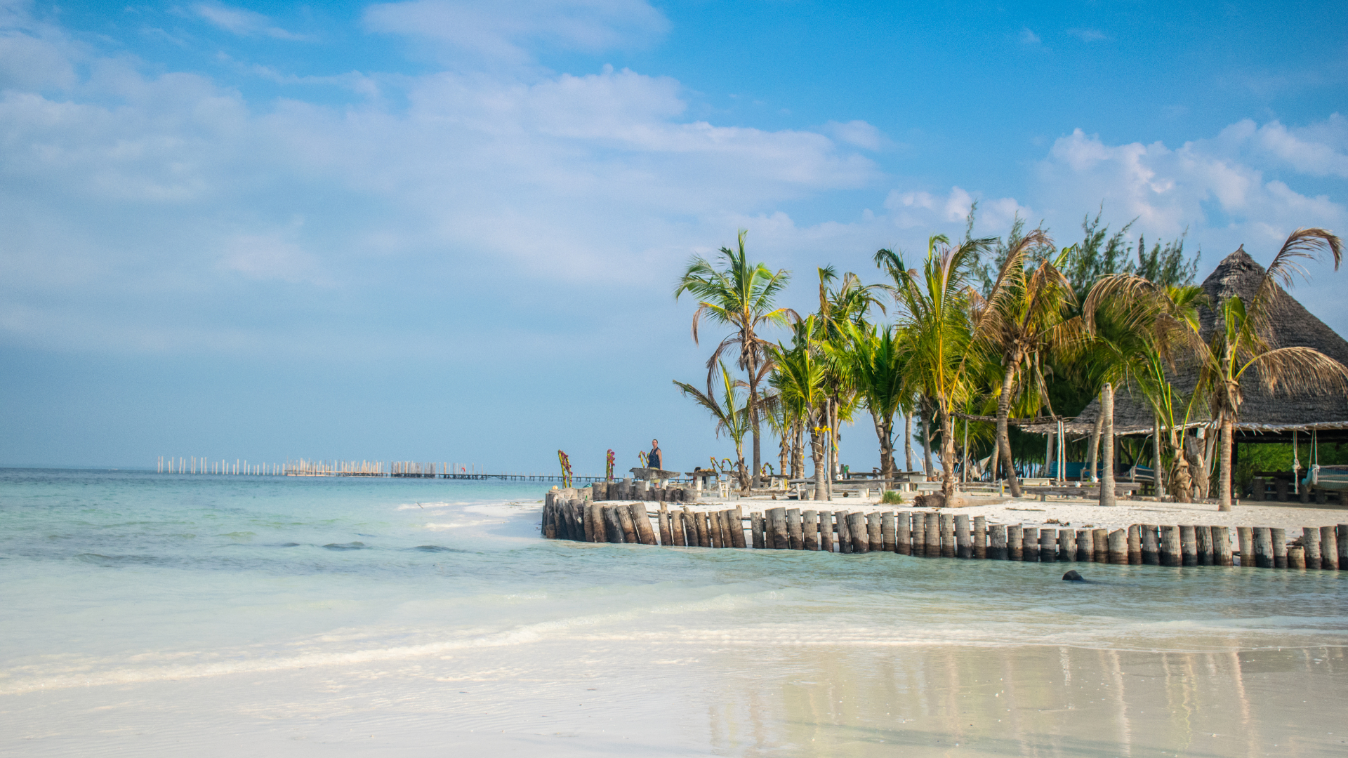 Zanzibar : 10 activités incontournables pour un séjour de rêve !